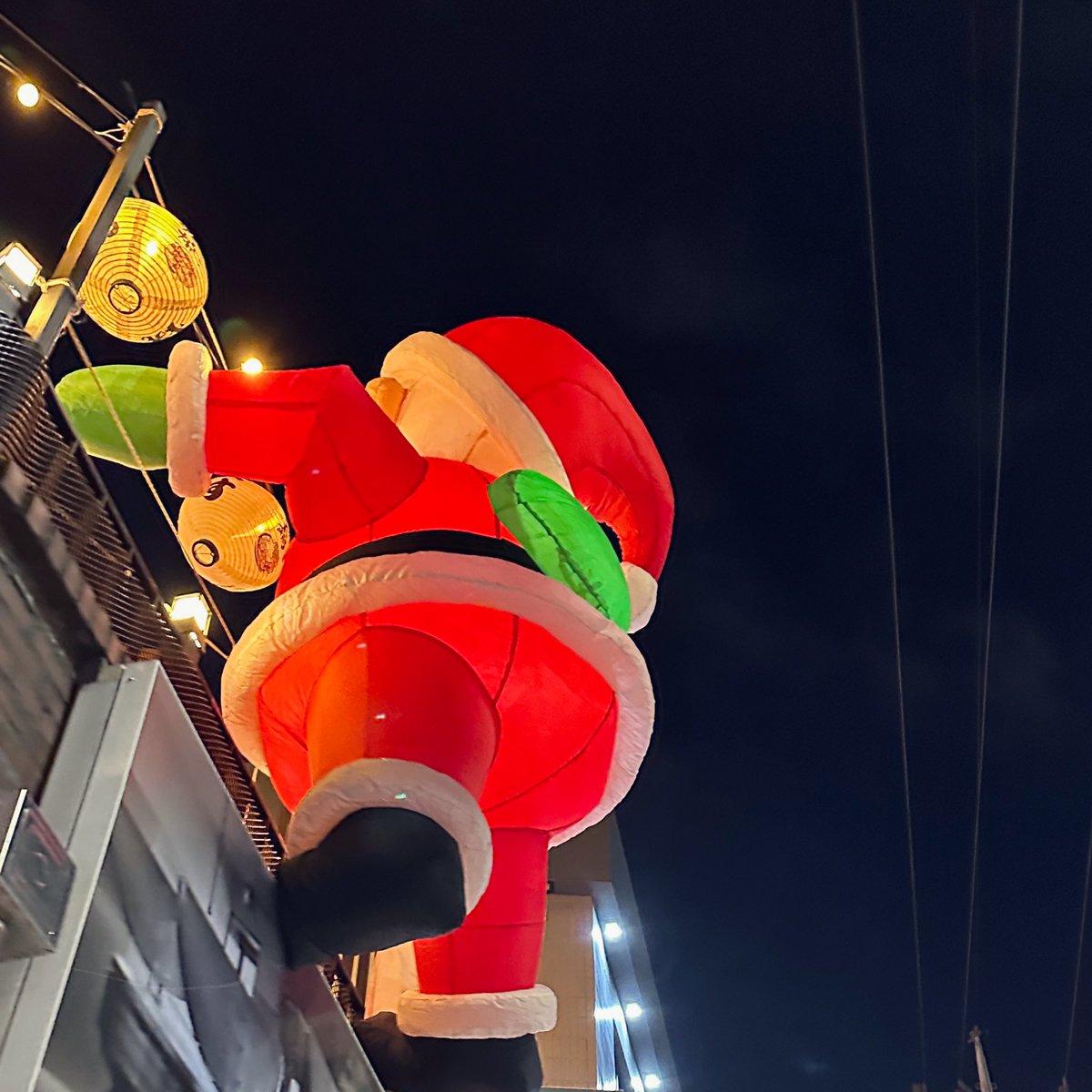 크리스마스 하나도 기대 안 된다