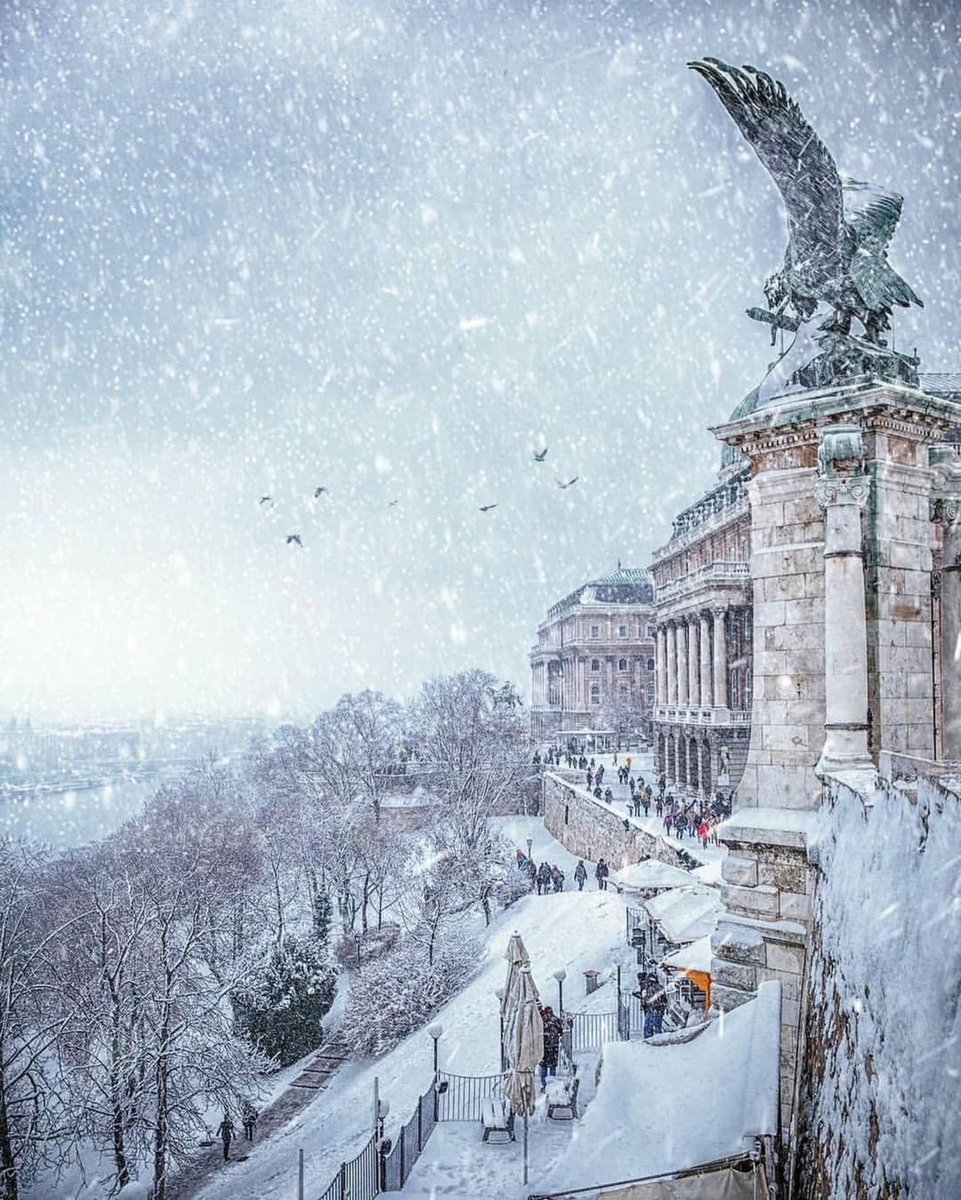 GossipRoomOff's tweet photo. La beauté de la ville de Budapest sous la neige 😍☃️❄️

📸: krenn_imre (IG) https://t.co/jOvVcpKL3a