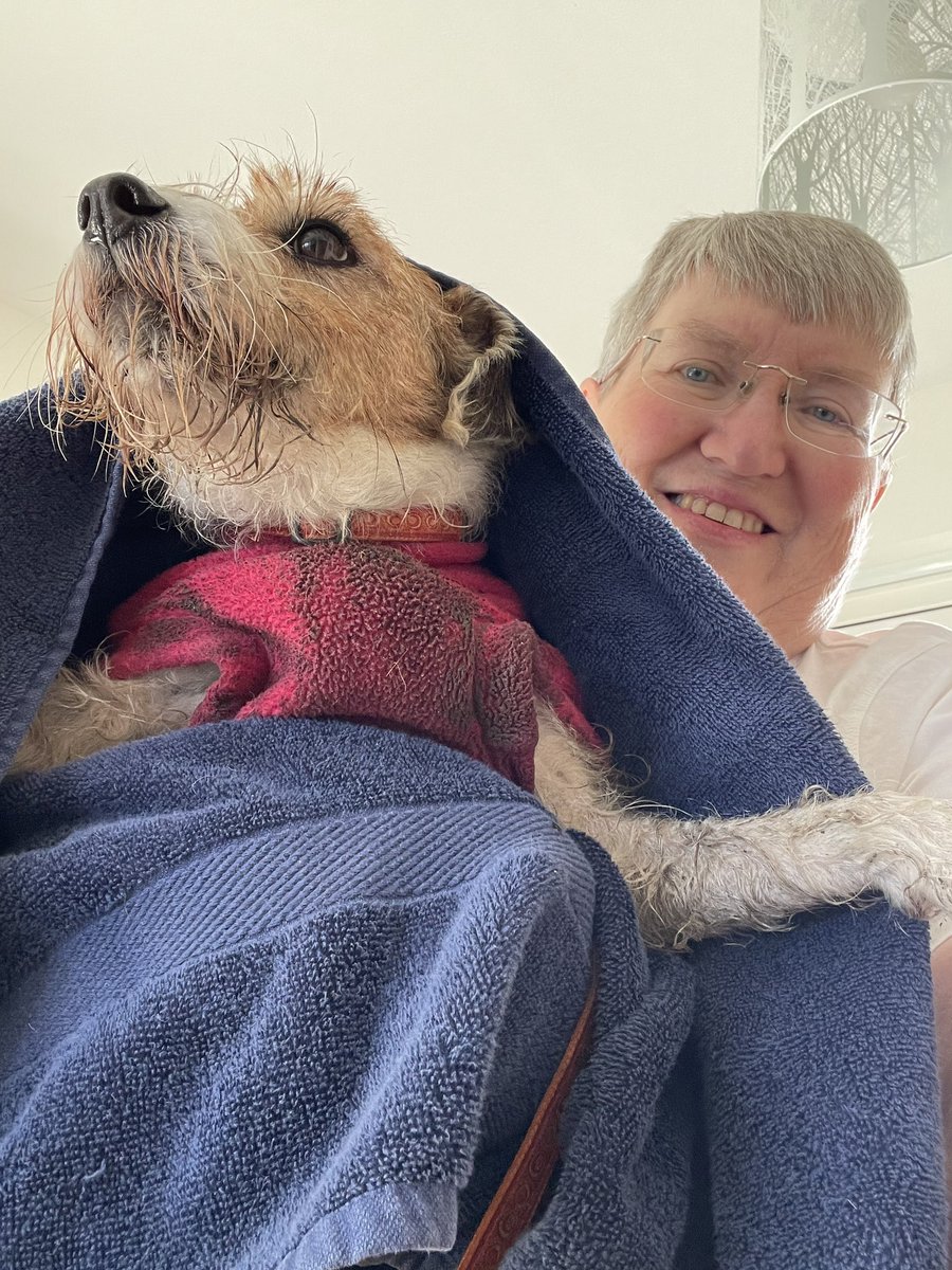 Pebble PR Terrier tweet media