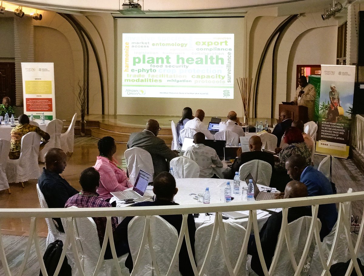 iapsc2's tweet photo. We are delighted with commitments made by #africanunion member states and the #planthealth expert community at the end of the meeting to domesticate #planthealthstrategy for Africa. Expectations are high for the successful implementation of the strategy which runs from 2022-2036 https://t.co/lcdcnTU6Gc