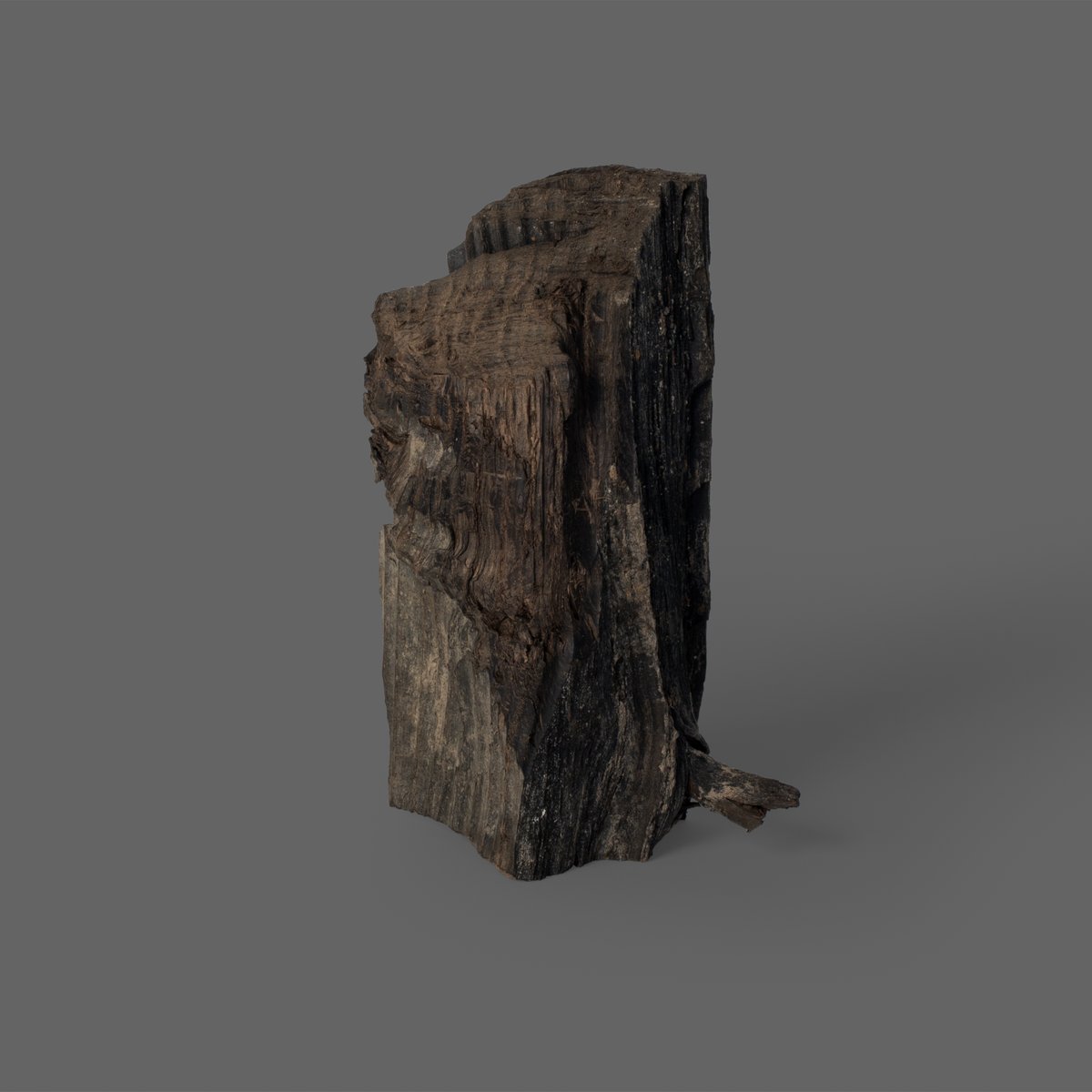 amorphous_lab's tweet photo. 6000年前の木
手を加えなくても美しい形
#a_morphous_design #amorphousdesign #adhocproducts #product #productdesign #DesignUnit #woodworking https://t.co/D3SRAU3RPd