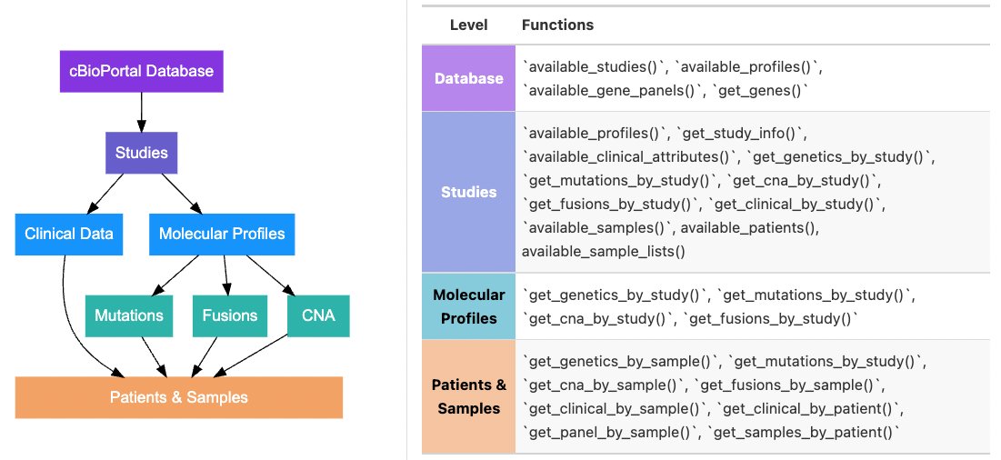 Memorial Sloan Kettering Biostatistics Service (@mskbiostats) on Twitter photo {cbioportalR} (available on #cran and #GitHub) allows #rstats users direct access to🧬 genomic and clinical data from <a href="/cbioportal/">cBioPortal</a>.
Use it to easily navigate and browse the cBioPortal database structure (👇):
karissawhiting.com/cbioportalR
#DataAnalytics #CancerResearch #Genomics {cbioportalR} (available on #cran and #GitHub) allows #rstats users direct access to🧬 genomic and clinical data from <a href="/cbioportal/">cBioPortal</a>.
Use it to easily navigate and browse the cBioPortal database structure (👇):
karissawhiting.com/cbioportalR
#DataAnalytics #CancerResearch #Genomics