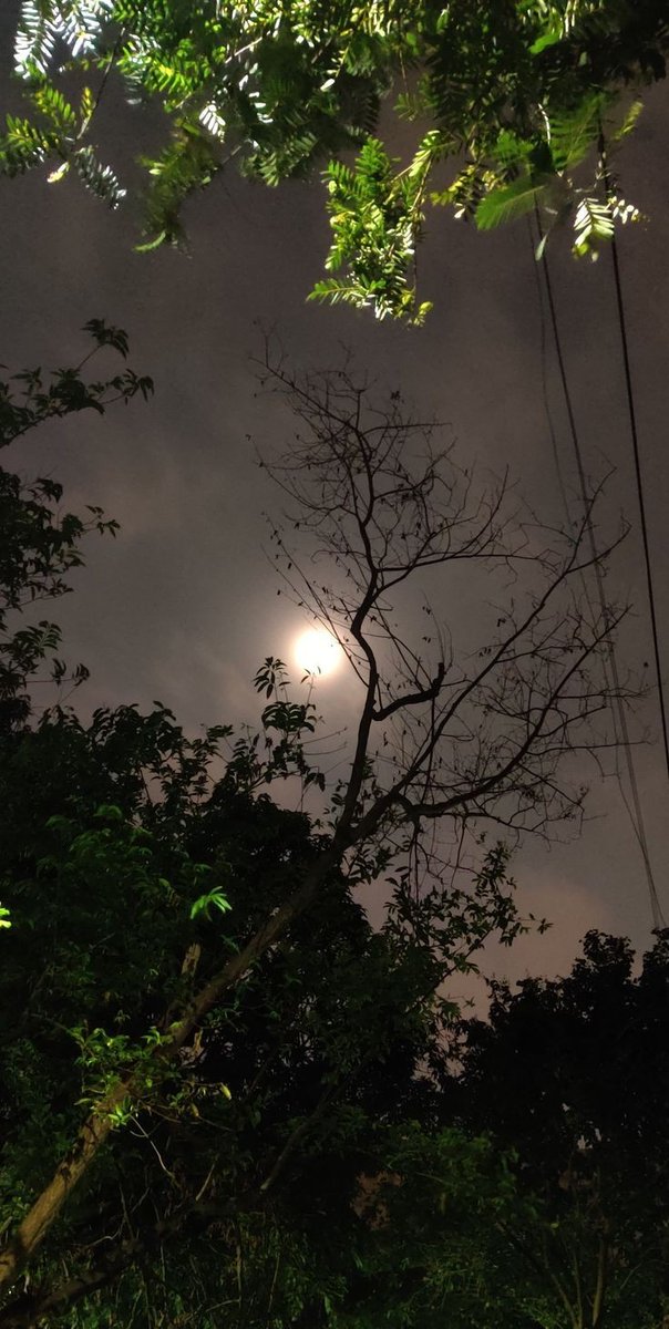 Falal26's tweet photo. Surah ad-duha; reminds us that every night has a morning, no matter how long darkness is, and during the long hours of that night. 

Your Lord has not abandoned you. 93:3 https://t.co/IApMstPS7V