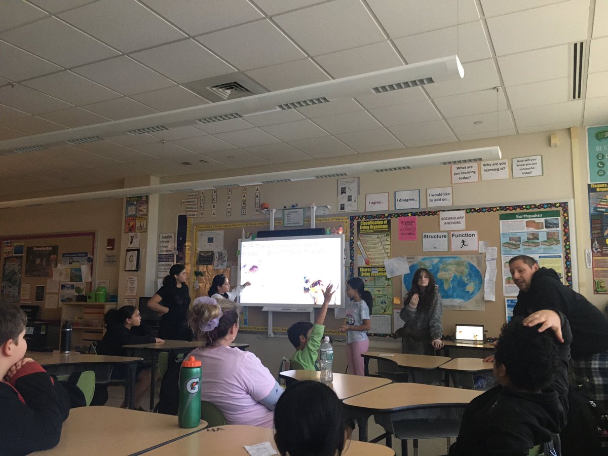 Betances STEM (@bstemhartford) on Twitter photo Today, 6th Grade students presented their frog dissection projects to 5th Grade students! Awesome way to show what they know and prepare the future 6th Grade #NerdyBirds! 🐸🤓🥼<a href="/Hartford_Public/">Hartford Public Schools</a> #BSTEMHARTFORD <a href="/PrincipalBSTEM/">Principal Brooks</a> Today, 6th Grade students presented their frog dissection projects to 5th Grade students! Awesome way to show what they know and prepare the future 6th Grade #NerdyBirds! 🐸🤓🥼<a href="/Hartford_Public/">Hartford Public Schools</a> #BSTEMHARTFORD <a href="/PrincipalBSTEM/">Principal Brooks</a>