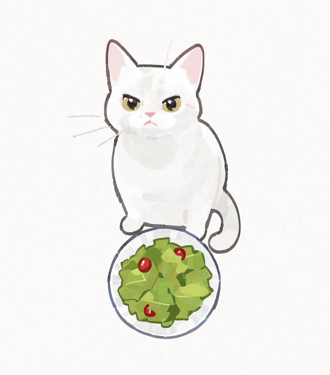 no humans animal focus cat simple background white background looking at viewer food  illustration images