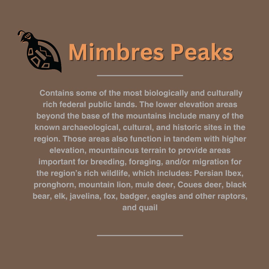 nativelandinst's tweet photo. National Monuments are established to protect land, waters, &amp; sites that hold cultural, historical &amp; scientific importance. Leaders in New Mexico announced intentions to preserve lands that have all of these values &amp; more. https://t.co/zBUeGoPo66 #ProtectMimbresPeaks #NLI #nmpol https://t.co/nQIMY9prBG