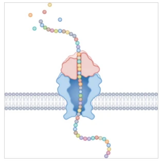 Nature Methods tweet media