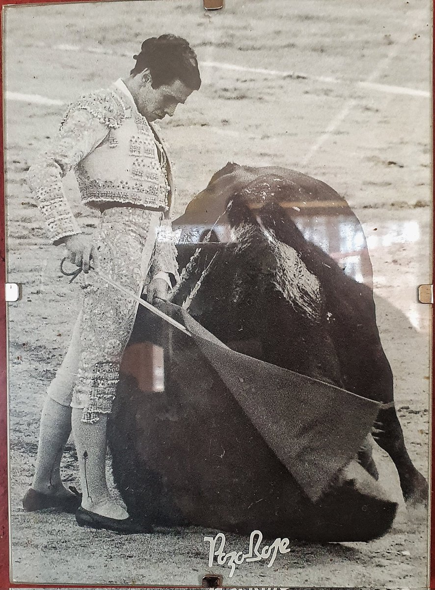 "El toreo debe nacer del corazón, fluir por los brazos, suavizarse en las muñecas y salir a la luz por las yemas de los dedos." Un referente el Maestro  Don José Miguel Arroyo"Joselito"