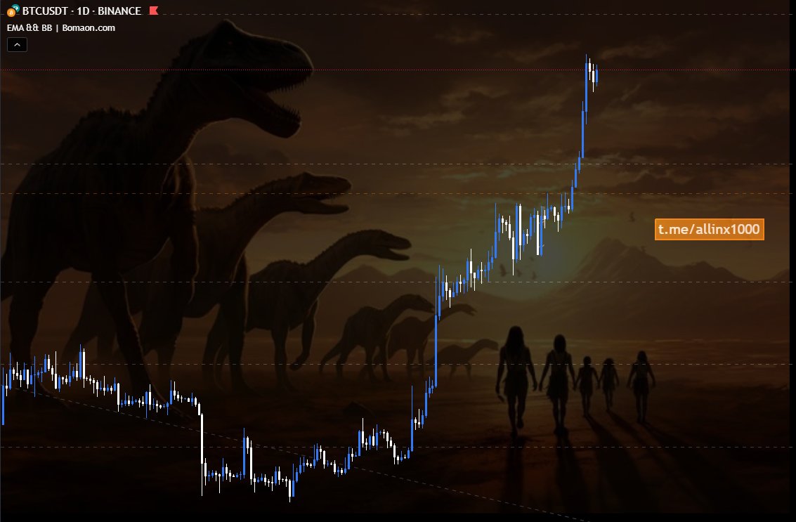 #btc #bomaon #dinosaur Market Trends  this week #week49
