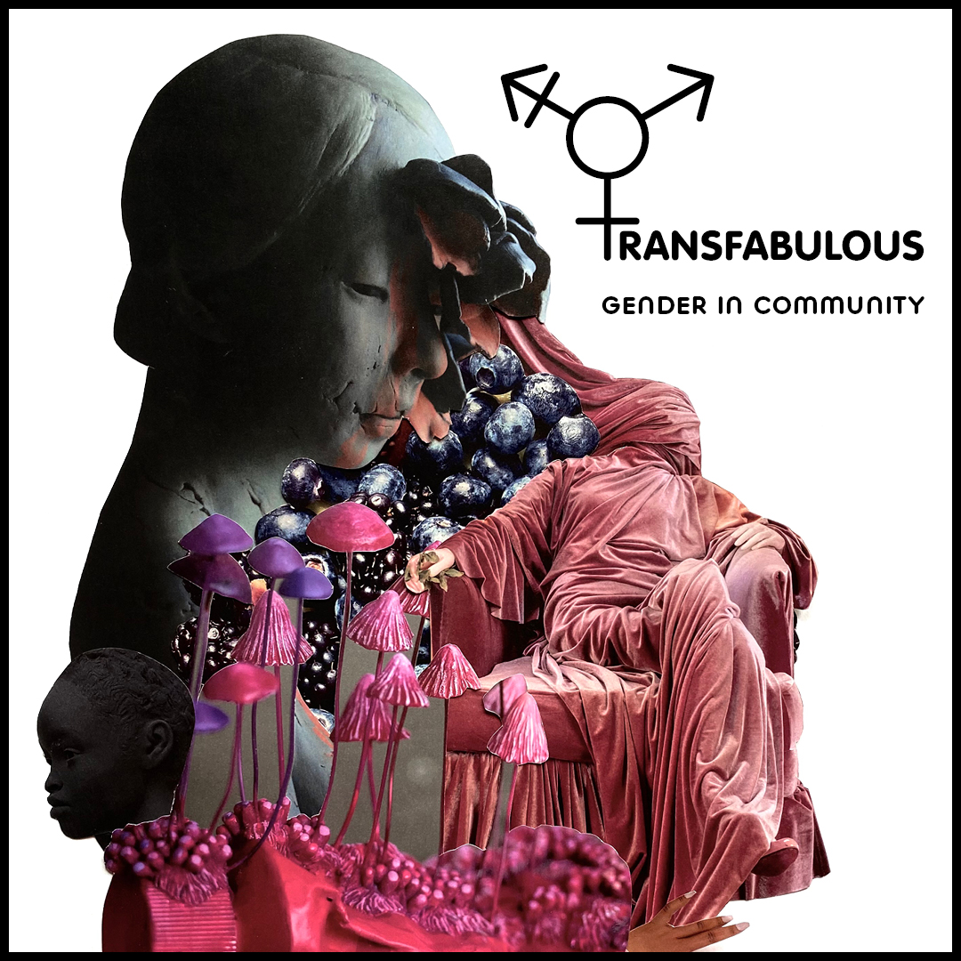 TransFabulous is proud to present Gender in Community, an exhibit created with the thriving queer arts community both local and abroad. Visit the exhibit at Minneapolis Central Library's Cargill Gallery through January 27. Learn more: hclib.org/about/news/202…