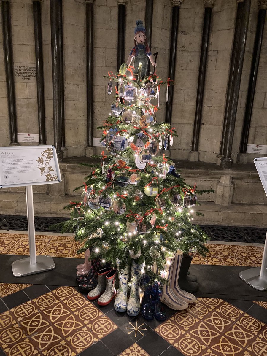WFGA (@wfga_) on Twitter photo Delighted to have sponsored this tree <a href="/York_Minster/">York Minster</a>. Great work by the team! Come along and visit or vote for us at yorkminster.org/tree-festival-…  #WFGA #gardening #horticulture Delighted to have sponsored this tree <a href="/York_Minster/">York Minster</a>. Great work by the team! Come along and visit or vote for us at yorkminster.org/tree-festival-…  #WFGA #gardening #horticulture