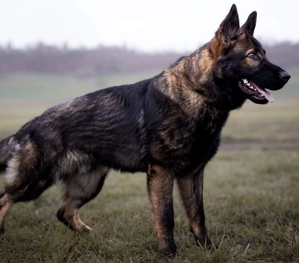 Ervin dlvr.it/Sztb6y