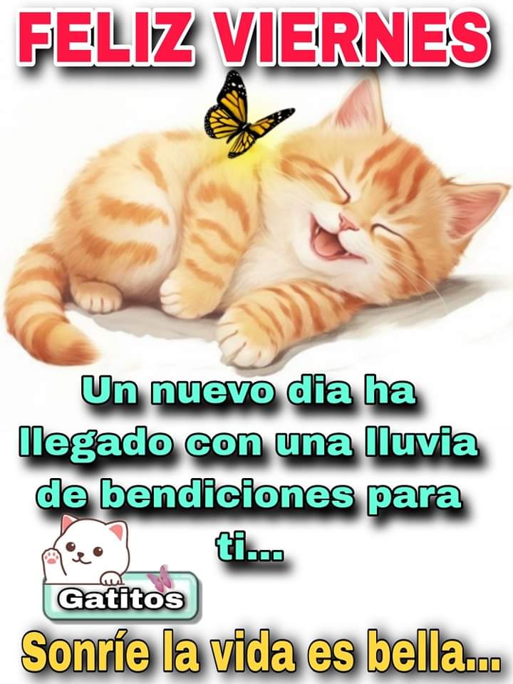 Buenos días