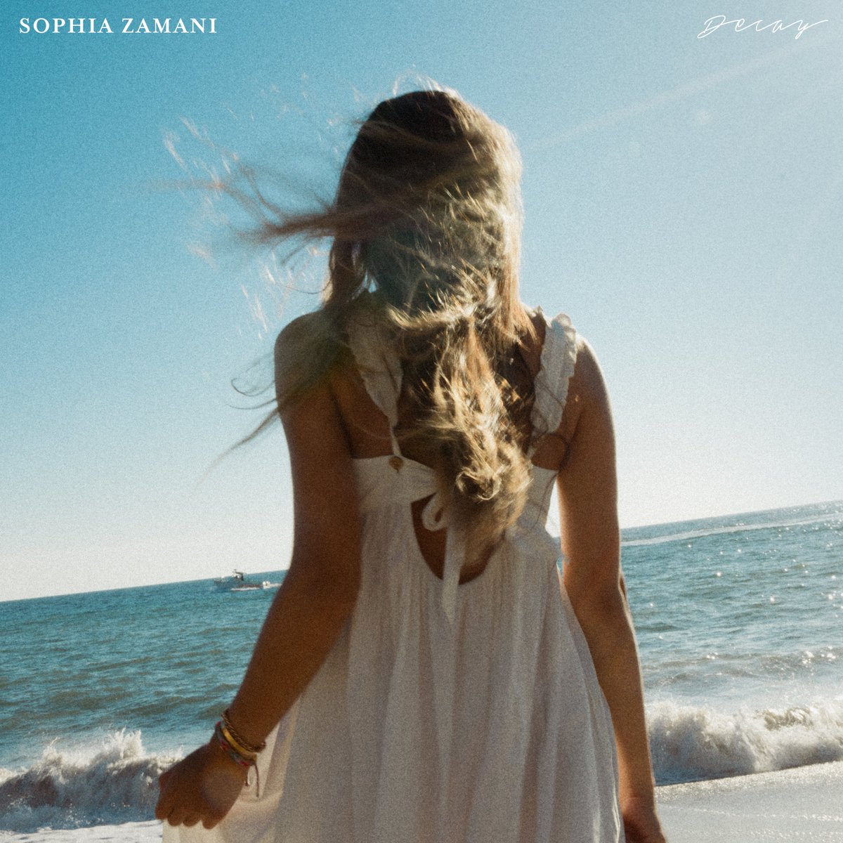 Sophia Zamani tweet media