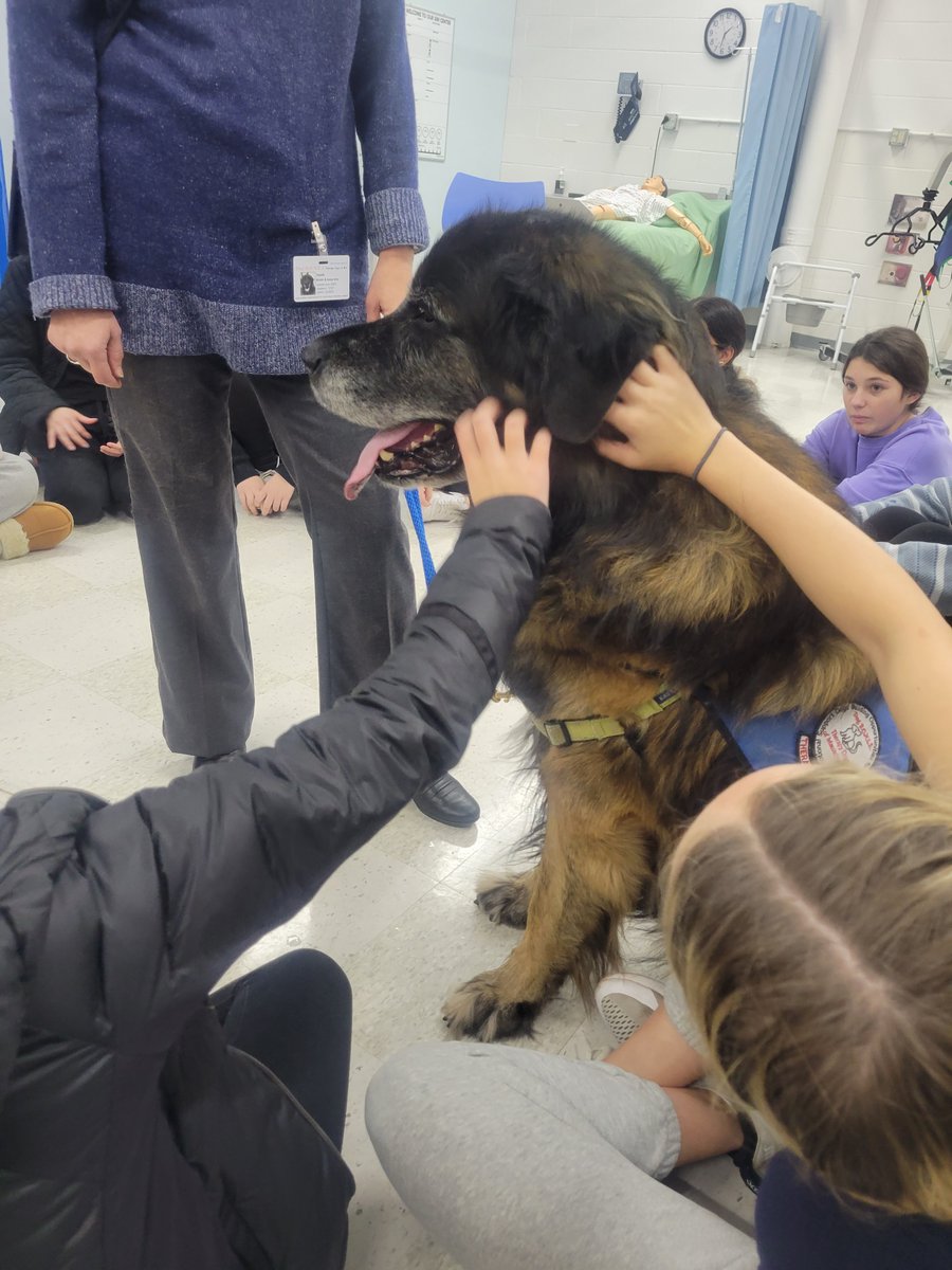 SL_Guidance's tweet photo. Over the last 2 days we had some support from two of our wonderful certified volunteer therapy dog teams.  Fezzik and Nikki came to spread some love and joy and help students decompress a bit during their learning.  The students thoroughly enjoy these visits and so do the dogs! https://t.co/RC5bOXMtCO