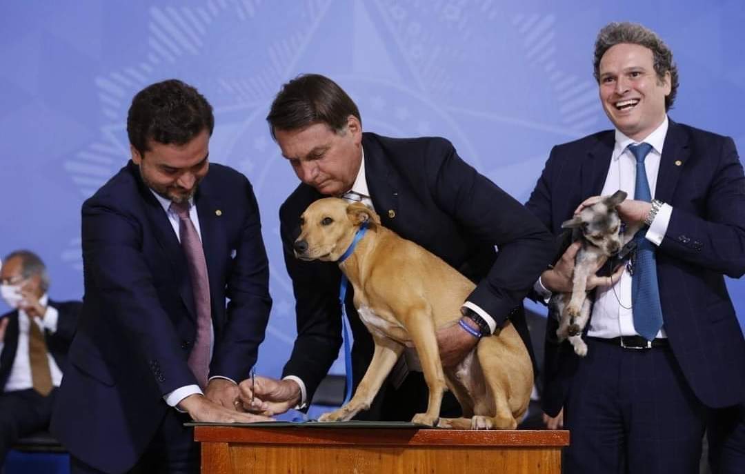 usdtermo's tweet photo. Ya que está Bolsonaro en Argentina les recuerdo esta foto de él firmando una ley contra el maltrato animal con Caramelo🐶, que es el color más común de los perros en Brasil. https://t.co/NxBOGmmM3g