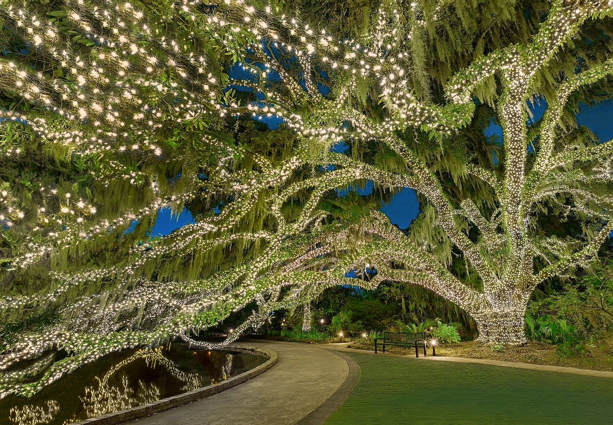 We're overjoyed for your incredible support in the 2023 USA TODAY 10Best Readers' Choice travel award contest for 'Best Botanical Garden Holiday Lights'! Thanks to your votes, we've secured 5th place! With heartfelt gratitude -Brookgreen Gardens #BrookgreenGardens #Brookgreen