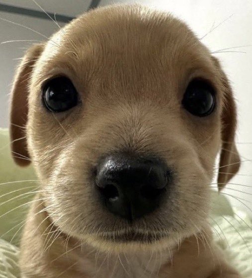 َ (@softhae) on Twitter photo 