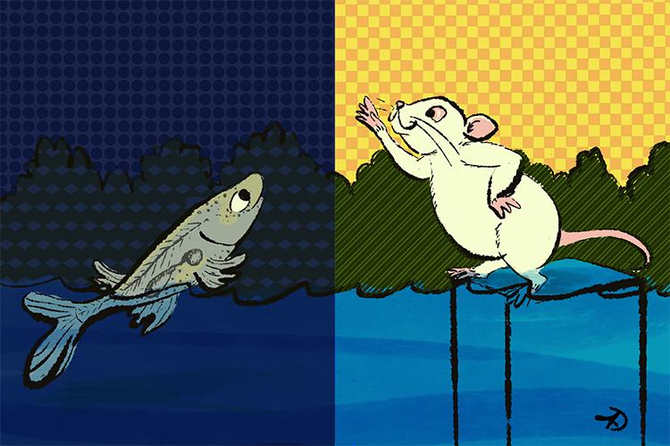 MPI for Neurobiology of Behavior – caesar tweet media