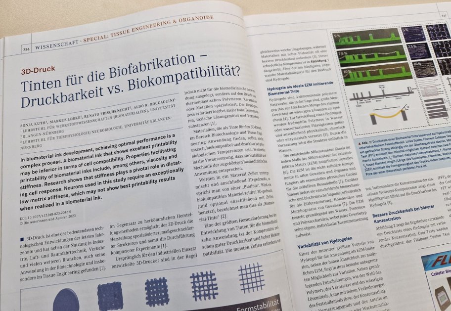 Biomaterials_Erlangen (@boccaccini_lab) on Twitter photo Sharing our <a href="/Boccaccini_Lab/">Biomaterials_Erlangen</a> #OpenAccess article in <a href="/Spektrum_BIO/">BIOspektrum</a>➡️ rdcu.be/drNxH (in 🇩🇪) on bioinks for soft tissue mimicking. Congrats <a href="/KuthSonja/">Sonja Kuth</a> for leading this study with top co-authors <a href="/UniFAU/">FAU Erlangen-Nbg</a> in the frame of <a href="/dfg_public/">DFG public | @dfg_public@wisskomm.social</a> <a href="/EBM_research/">ExploringBrainMechanics</a> "Exploring brain mechanics"👏 Sharing our <a href="/Boccaccini_Lab/">Biomaterials_Erlangen</a> #OpenAccess article in <a href="/Spektrum_BIO/">BIOspektrum</a>➡️ rdcu.be/drNxH (in 🇩🇪) on bioinks for soft tissue mimicking. Congrats <a href="/KuthSonja/">Sonja Kuth</a> for leading this study with top co-authors <a href="/UniFAU/">FAU Erlangen-Nbg</a> in the frame of <a href="/dfg_public/">DFG public | @dfg_public@wisskomm.social</a> <a href="/EBM_research/">ExploringBrainMechanics</a> "Exploring brain mechanics"👏