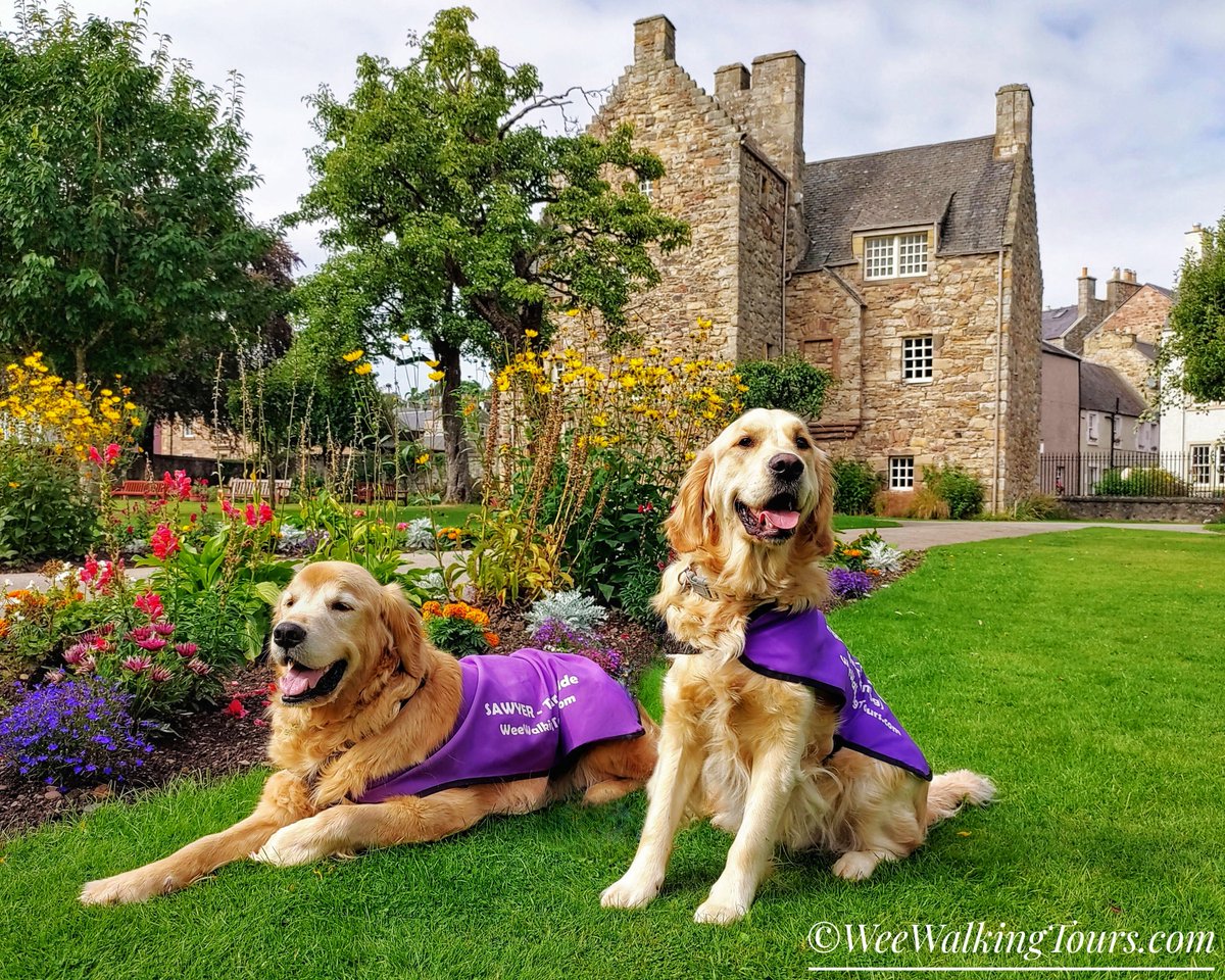Happy 481st birthday to our dear Mary, Queen of Scots!💙🏴󠁧󠁢󠁳󠁣󠁴󠁿

To celebrate her special day, please join our two angels- Sawyer🌈🐾 and Stirling🌈🐾- on a virtual visit to the #MaryQueenOfScots Visitor Centre, in #Jedburgh, #Scotland.

weewalkingtours.com/post/mary-quee…