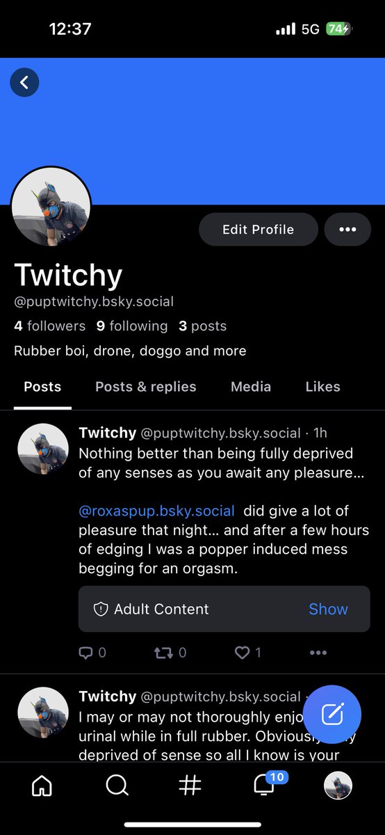 This doggo finally made 🔵☁️account. If you all over there feel free to follow! Once they allow videos I try to post a lot more there. 

Puptwitchy.bsky.social