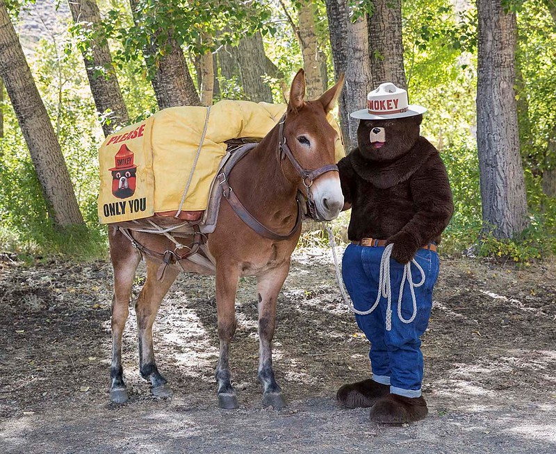 yourpswforests's tweet photo. On Jan 1st, at America’s New Year Celebration, the #RoseParade we honor @smokey_bear and his 80-year legacy of preventing human-caused wildfire, #SmokeyBear #OnlyYou #Wildfire #USFS #AdCouncil #StateForester #Smokeys80th #Smokeyturns80 #HappyBirthdaySmokey #USFSRoseParade2024 https://t.co/6lmOdPqv8L