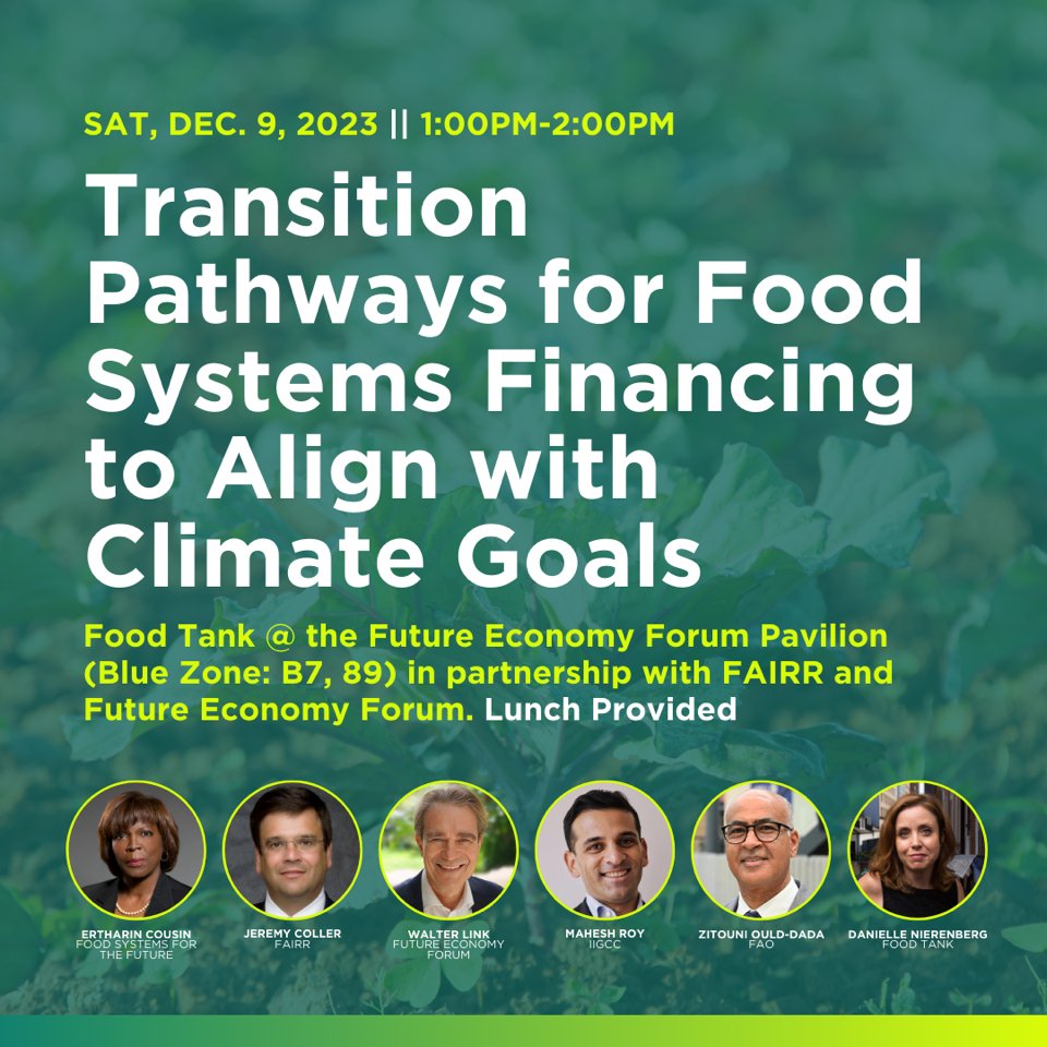 Food Tank (@foodtank) on Twitter photo Join us in tomorrow for a critical discussion at #cop28dubai: "Transition Pathways for Food Systems Financing to Align with Climate Goals."
Speakers include: Jeremy Coller (<a href="/CollerFdn/">The Coller Foundation</a>/<a href="/FAIRRInitiative/">FAIRR Initiative</a>); Mahesh Roy (@maheshroy82, <a href="/IIGCCnews/">IIGCC</a>); <a href="/ZitouniOuldDada/">Dr Zitouni Ould-Dada</a> (<a href="/FAO/">Food and Agriculture Organization</a>); Ambassador Join us in tomorrow for a critical discussion at #cop28dubai: "Transition Pathways for Food Systems Financing to Align with Climate Goals."
Speakers include: Jeremy Coller (<a href="/CollerFdn/">The Coller Foundation</a>/<a href="/FAIRRInitiative/">FAIRR Initiative</a>); Mahesh Roy (@maheshroy82, <a href="/IIGCCnews/">IIGCC</a>); <a href="/ZitouniOuldDada/">Dr Zitouni Ould-Dada</a> (<a href="/FAO/">Food and Agriculture Organization</a>); Ambassador