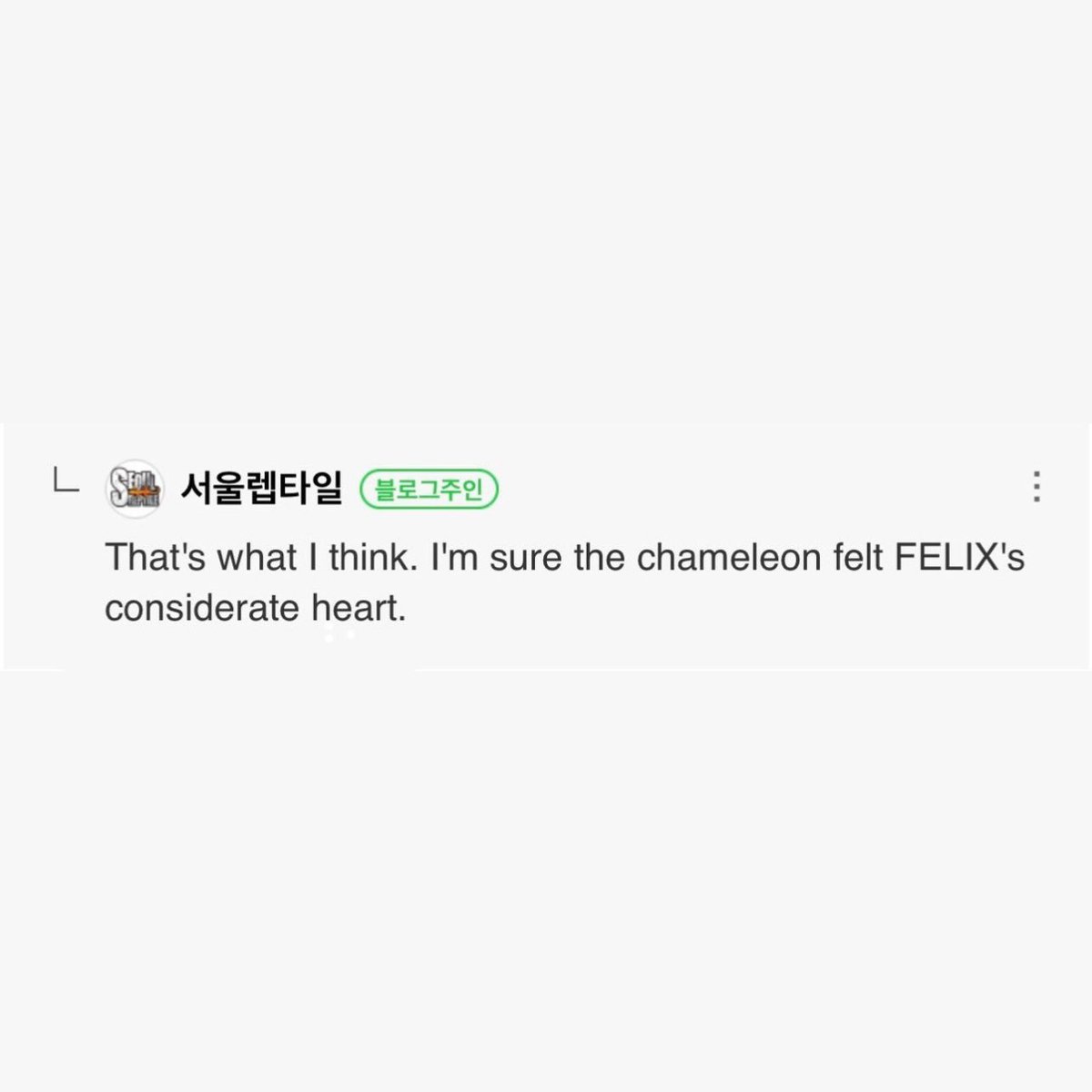 915bbok's tweet photo. the chameleon’s owner replied to a comment saying they are sure that the chameleon felt Felix's caring heart🥹 https://t.co/QbNTI3DLrC