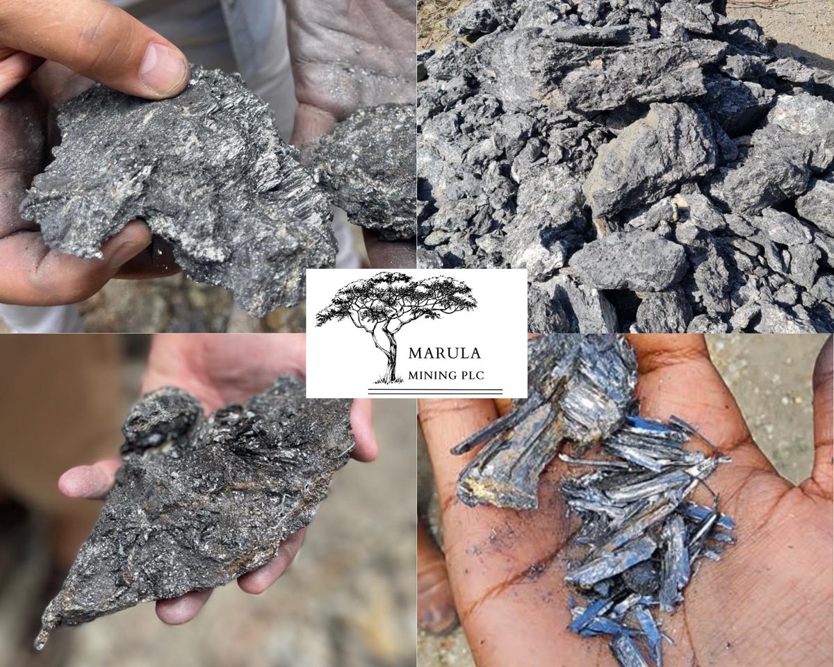 MarulaPlc's tweet photo. 💥A look at #MARU's Updates💥
1️⃣Commencement of Phase 1 Exploration at the Nyorinyori and NyoriGreen Graphite Projects
✅Focus is on high-grade &amp; jumbo flake #graphite mineralisation observed with visual estimates of +90% graphite content in shallow broad graphite veins.
THREAD🧵 https://t.co/5Z3SI92Q8I