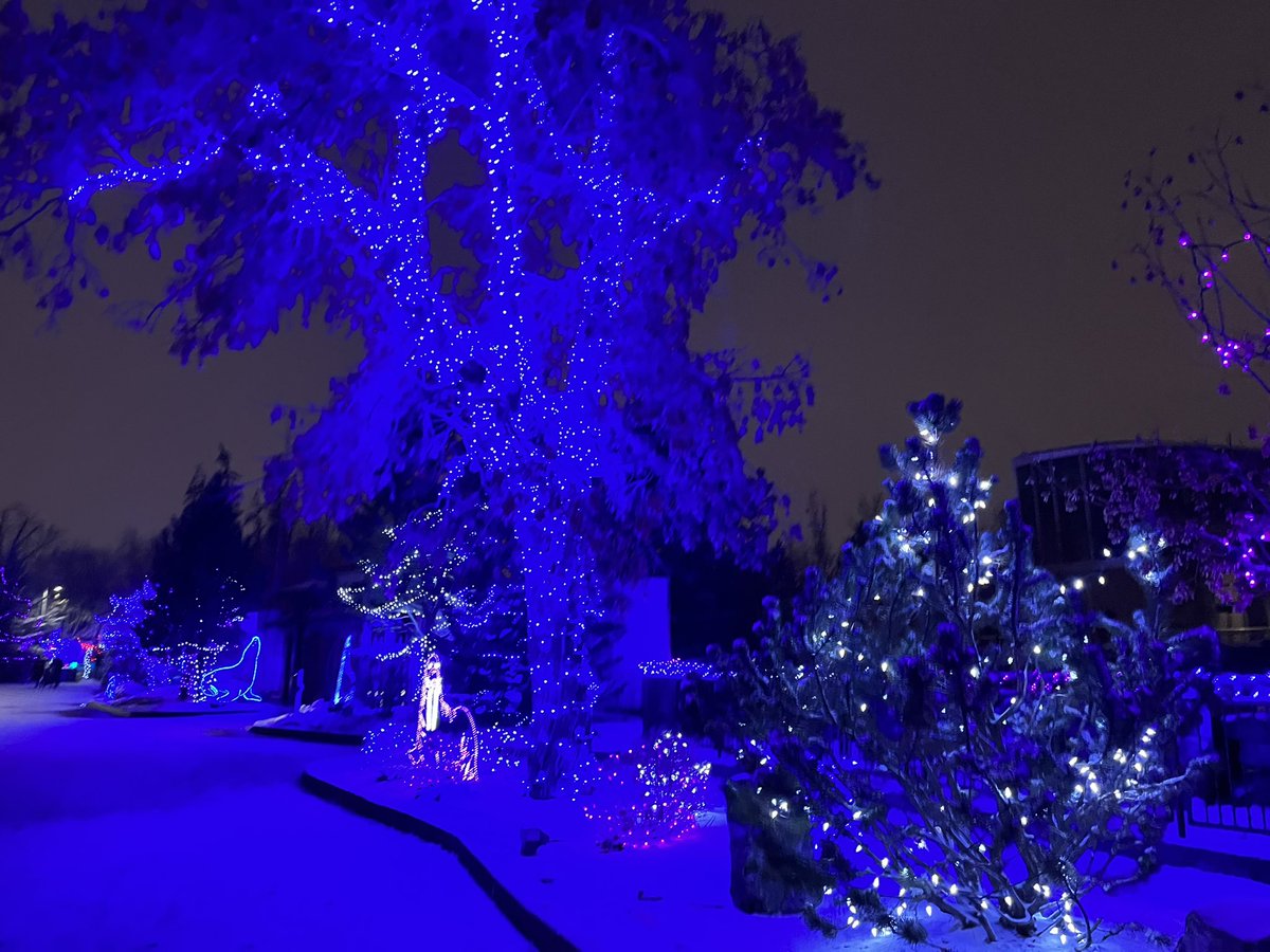 Mme Michelle tweet media