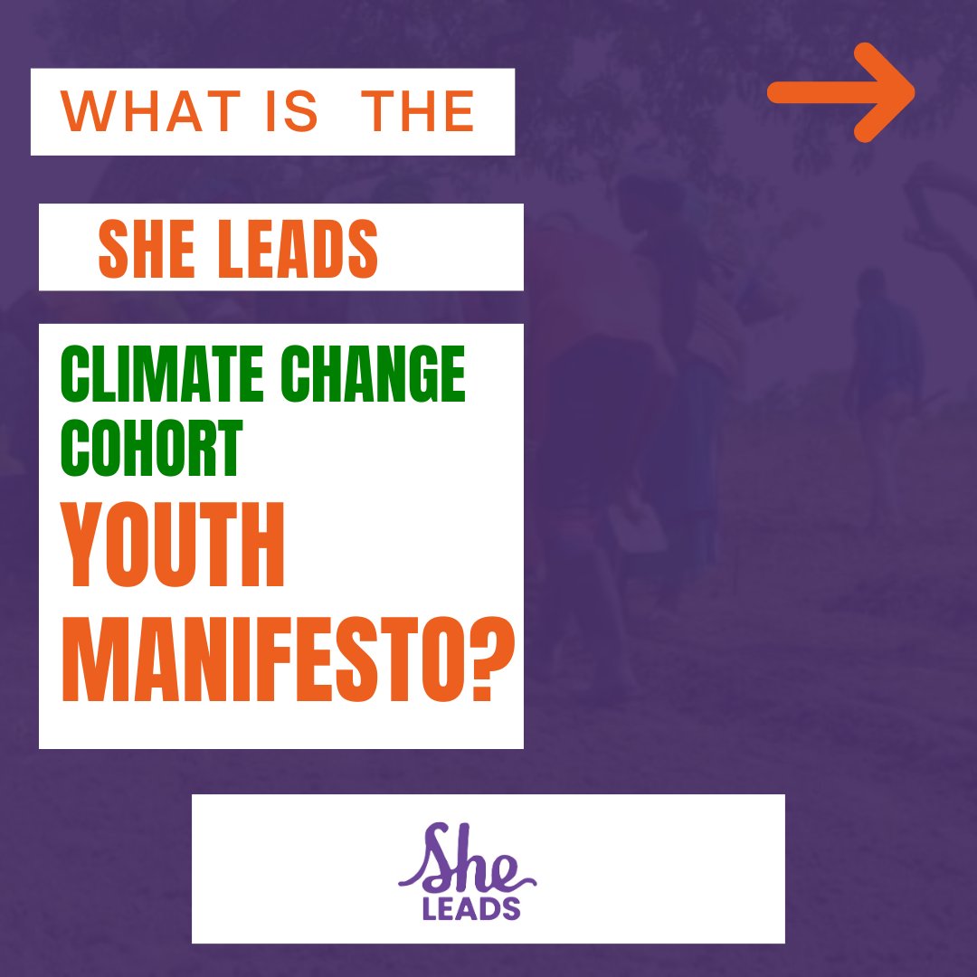 She Leads Advocacy Network tweet media