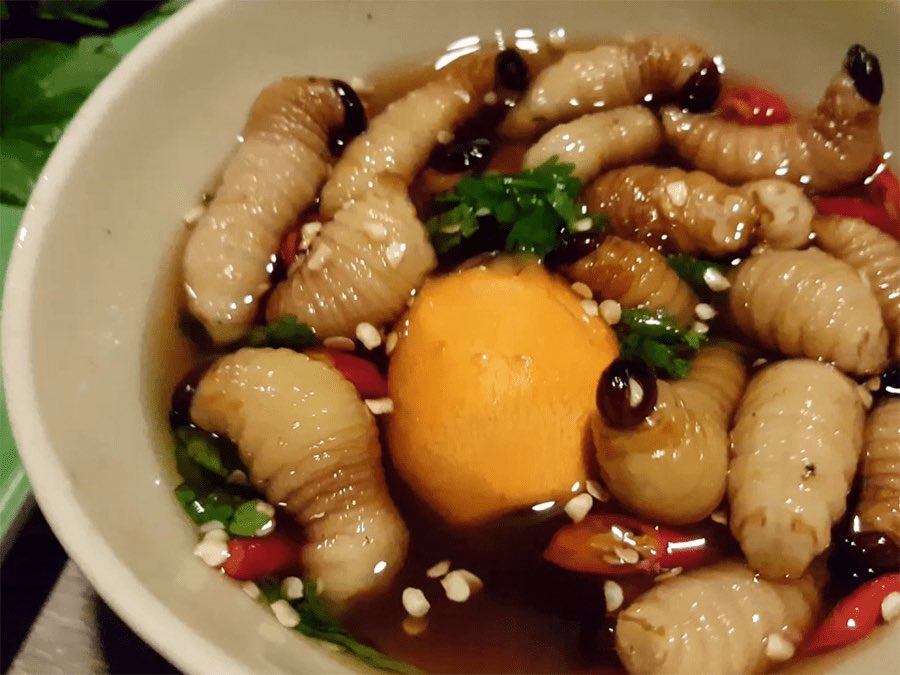 Bạn đã từng ăn modn aen này chưa. Ngon tuyệt vời :)))
