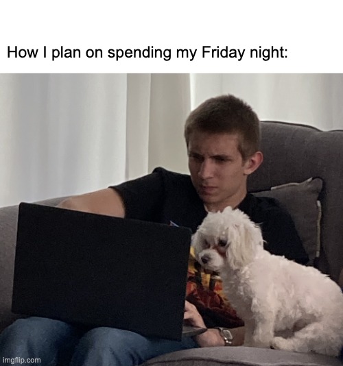 CoinMarketCap tweet media