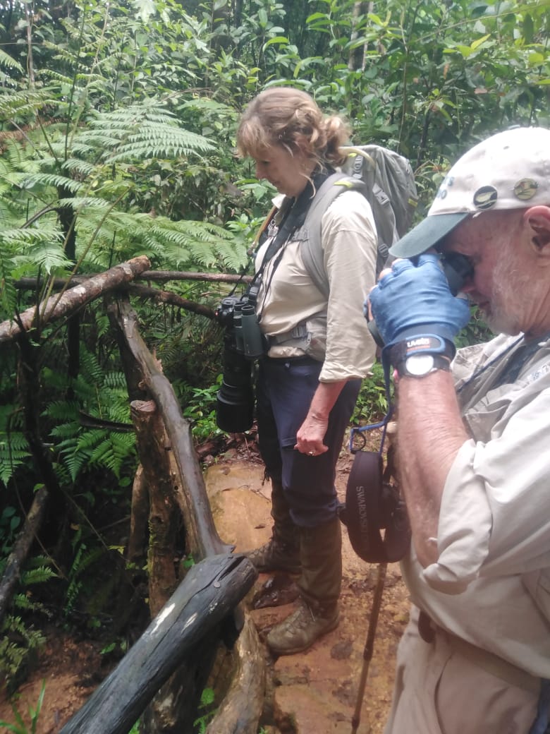 BandW_Team's tweet photo. On a recent birding and wildlife tour for a Australian group, guided by Diluksha Soysa of Bird and Wildlife Team.

https://t.co/0heGHRMMLE Sri Lanka

 #birds #birdwatching #birding #nature #wildlife #birdphotography #wildlifephotography #naturephotography  #birdandwildlifeteam https://t.co/mKrWNwH4JB