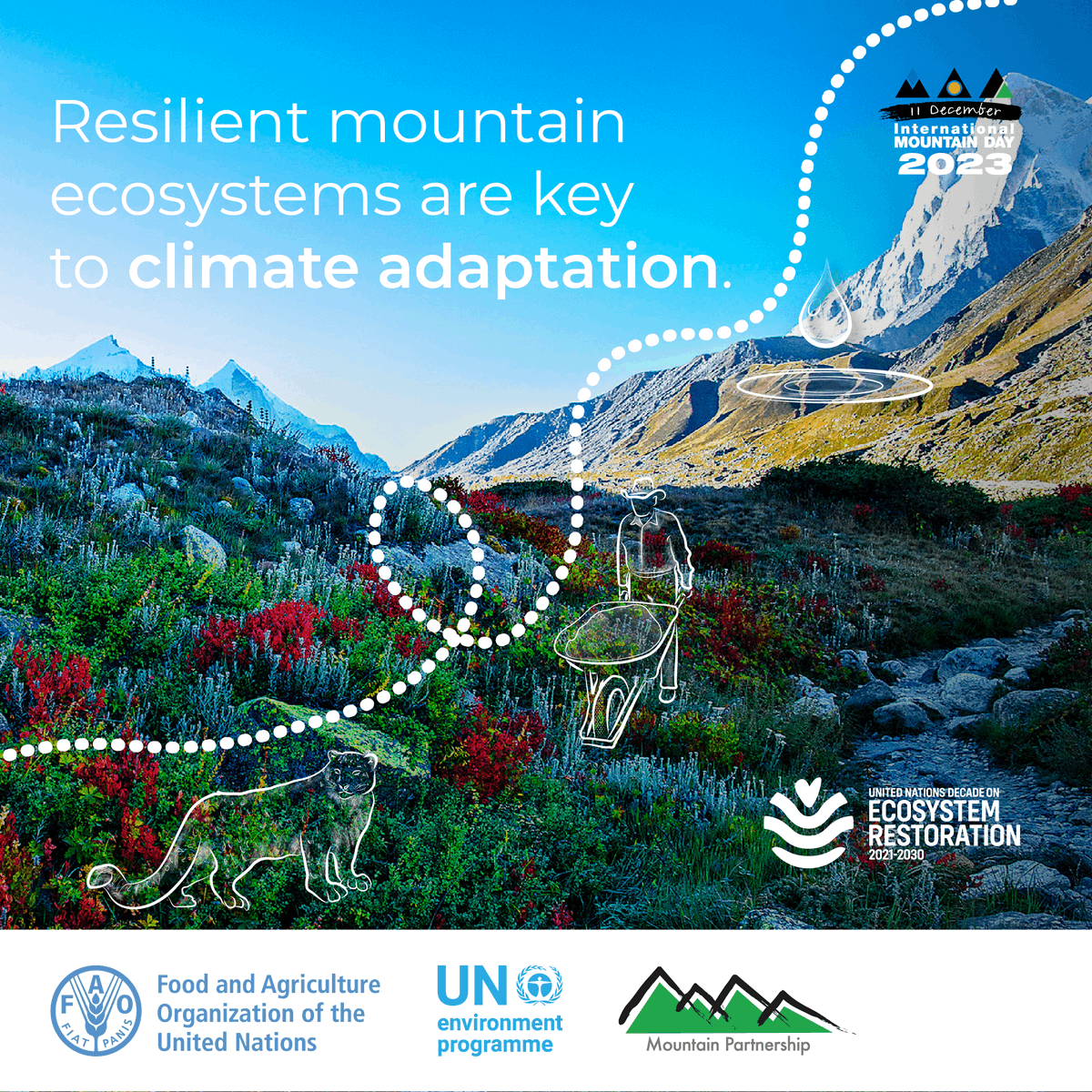 FAO's tweet photo. #DYK that forests cover 39% of global mountain area?

Mountain forests &amp; grasslands…

⛰️cool local temperatures
⛰️increase water retention
⛰️store carbon
⛰️reduce risk of erosions &amp; landslides

Let’s recognize the importance of our mountain ecosystems!

#MountainsMatter #COP28 https://t.co/WXPlOyzTn3