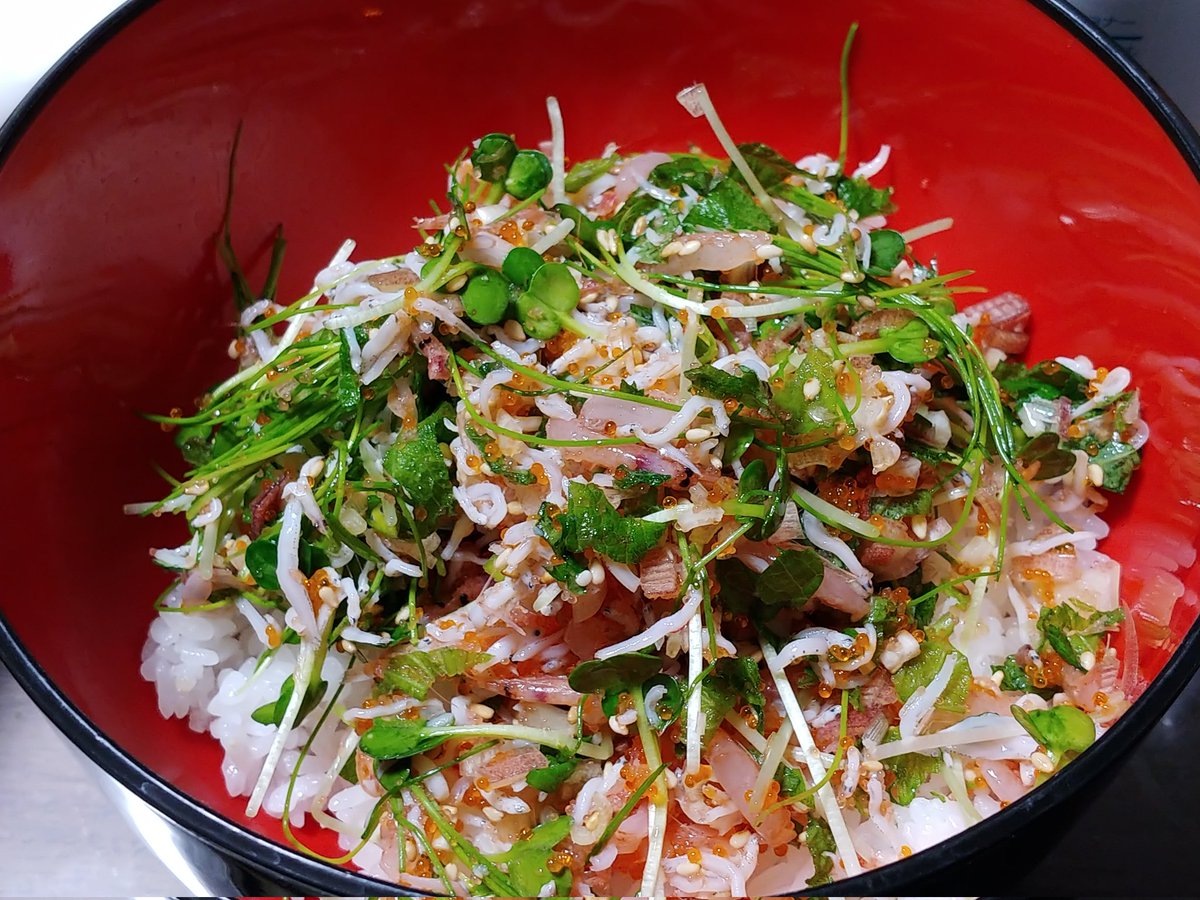 「今日の晩御飯は桜エビ、しらすに魚卵と大量の薬味を混ぜたもの。これを丼に盛って醤油」|山田 恵庸☀のイラスト
