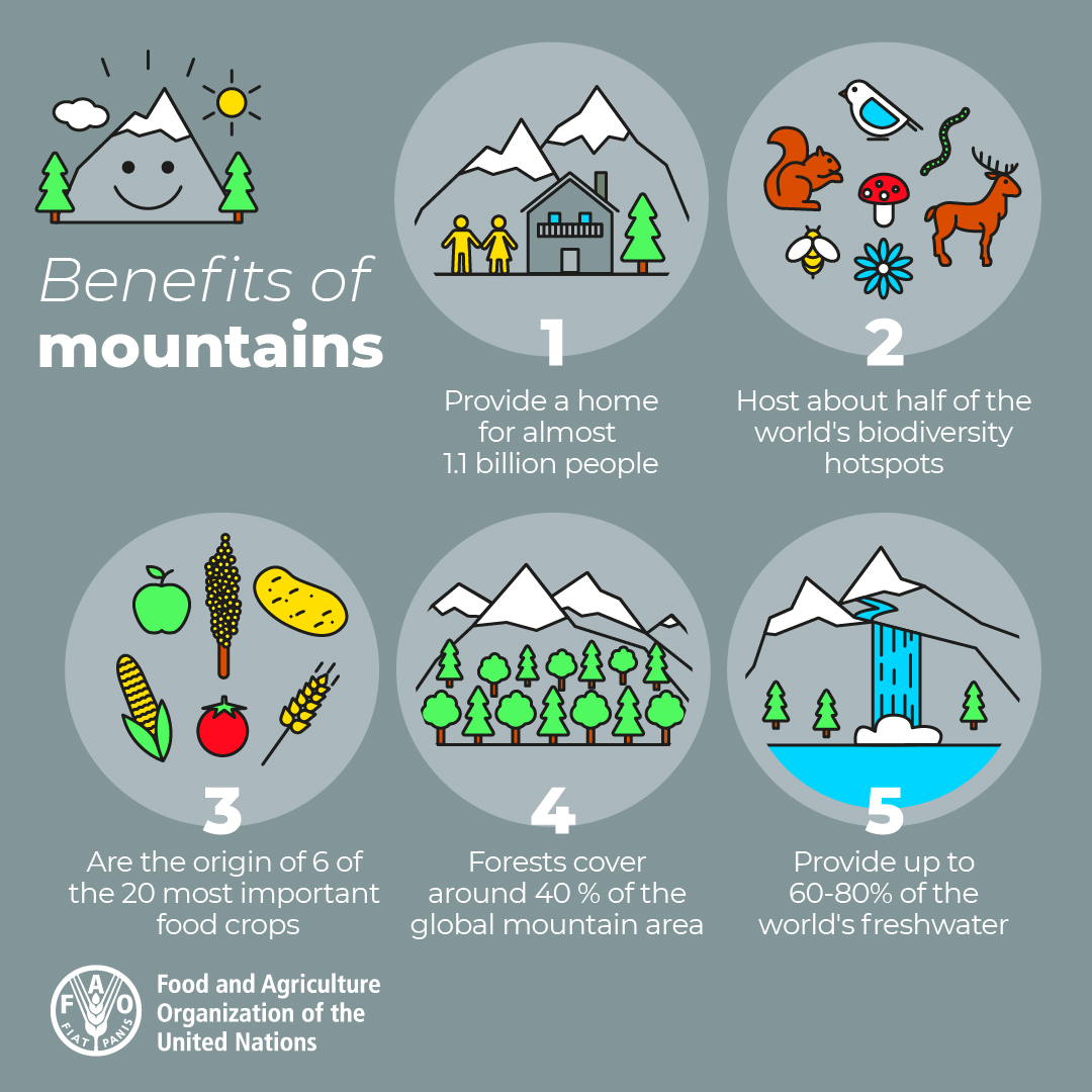 Did you know that healthy mountains help mitigate the effects of #ClimateChange and its related risks?

Restoring mountain ecosystems is vital to ensuring life on 🌍!

#MountainsMatter #IMD2023 #COP28 #GenerationRestoration