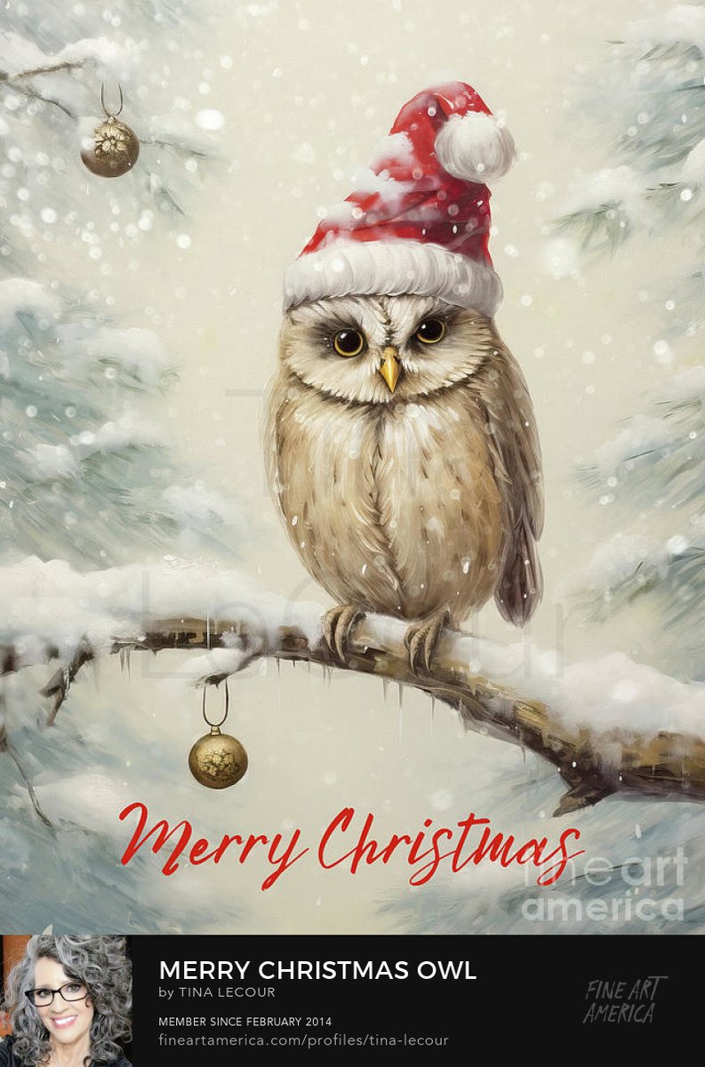 Merry Christmas Owl...Can be purchased here..tina-lecour.pixels.com/featured/merry…

#Owl #owls #Christmas #Christmasgifts #Christmas2023 #giftideas #gifts #giftsforher #giftsformom #birds #wallartforsale #wallart #homedecor #homedecoration #interiordecor #greetingcards #Christmascards