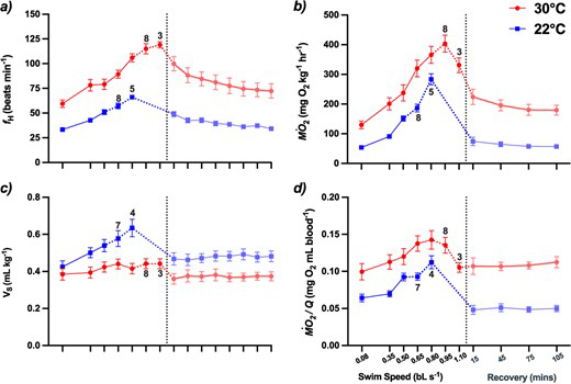 conphysjournal's tweet photo. Groupers are ecologically and socioeconomically important and threatened species, yet little is known of their biology. This new article in #ConPhys reveals how temperatures affect physiology and swimming capacity in Nassau grouper.
Read it here: https://t.co/XYS8hLoiWn https://t.co/4mGEkLVbOU