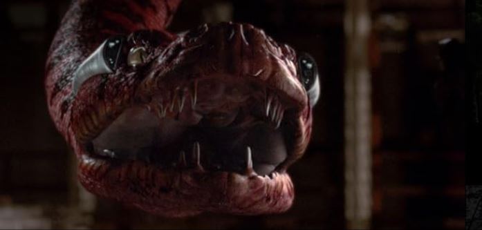 FilmsQuirky's tweet photo. #BoaVsPython (2004) π
After a genetically-altered python escapes, a scientist is enlisted to help kill it by releasing a giant boa constrictor that he owns.
#CreatureFeature #FilmsWithBite
#FilmX π½οΈ π¬ https://t.co/MGl5QR9SM5
