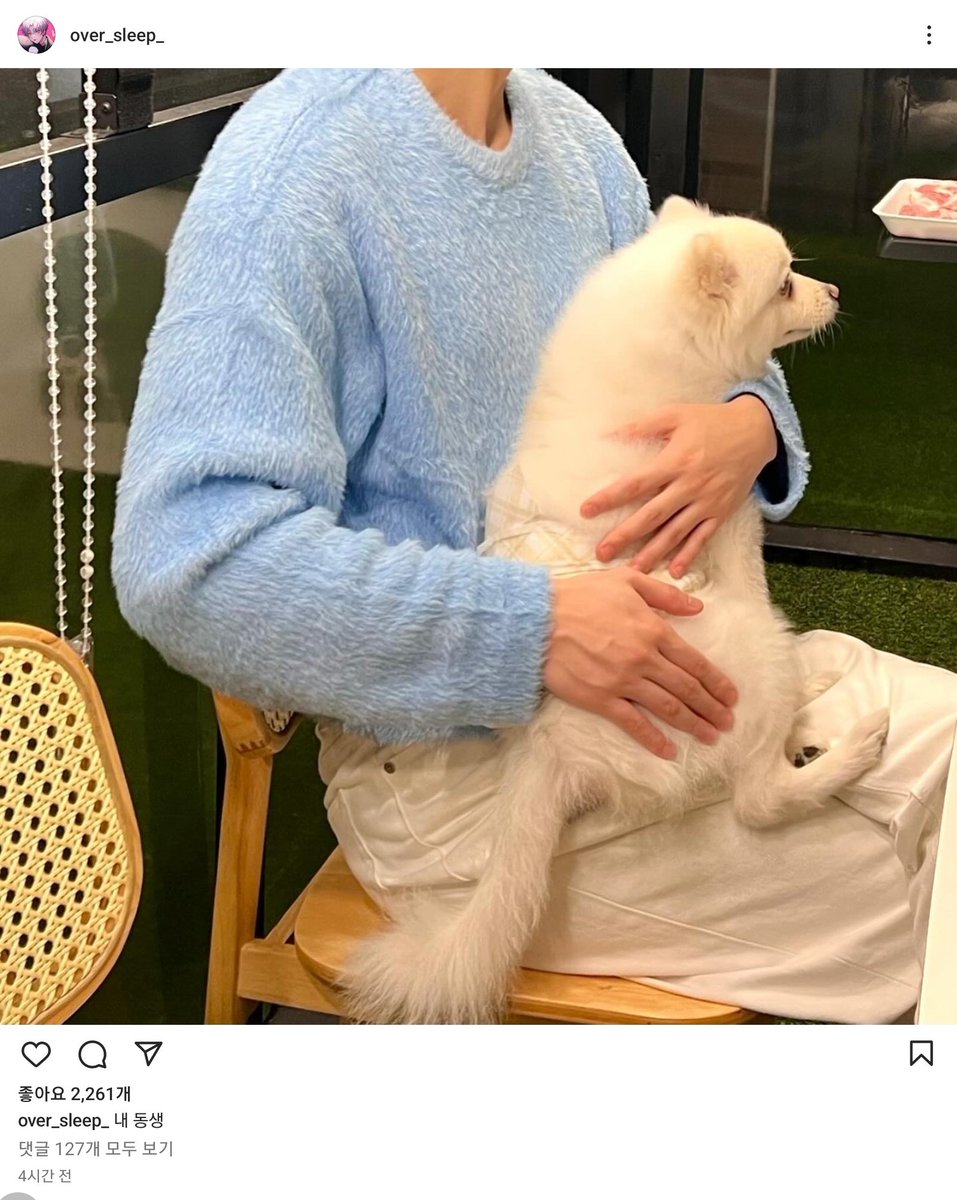 oversleep_copy's tweet photo. 노매뉴얼 CROPPED HAIRY KNIT - SKY BLUE
.
.
.
#싸이코드 #psycord #늦잠 #잠민수 https://t.co/UOrvFJJDdV