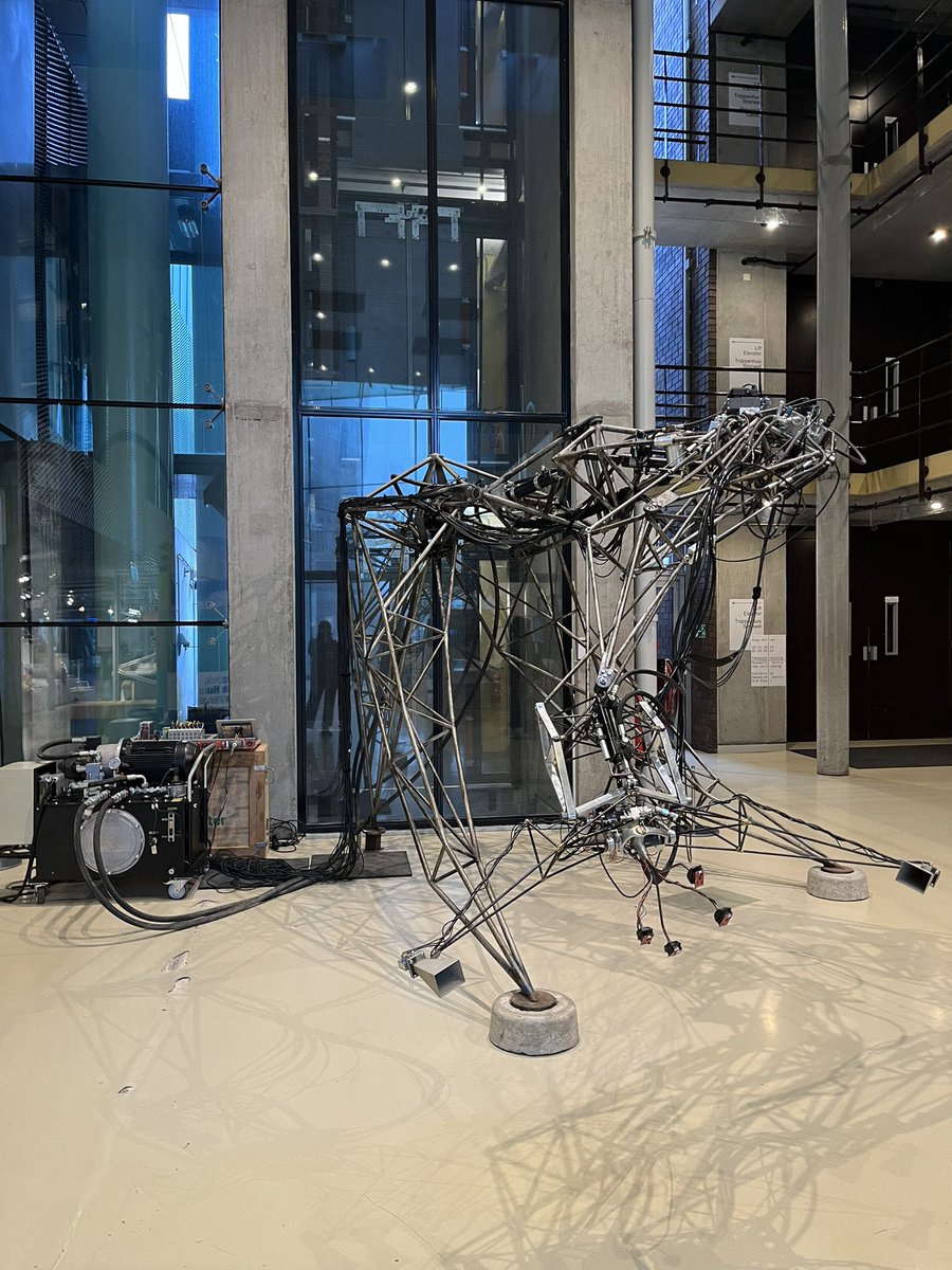 Alexandra D-S (she/her) tweet media