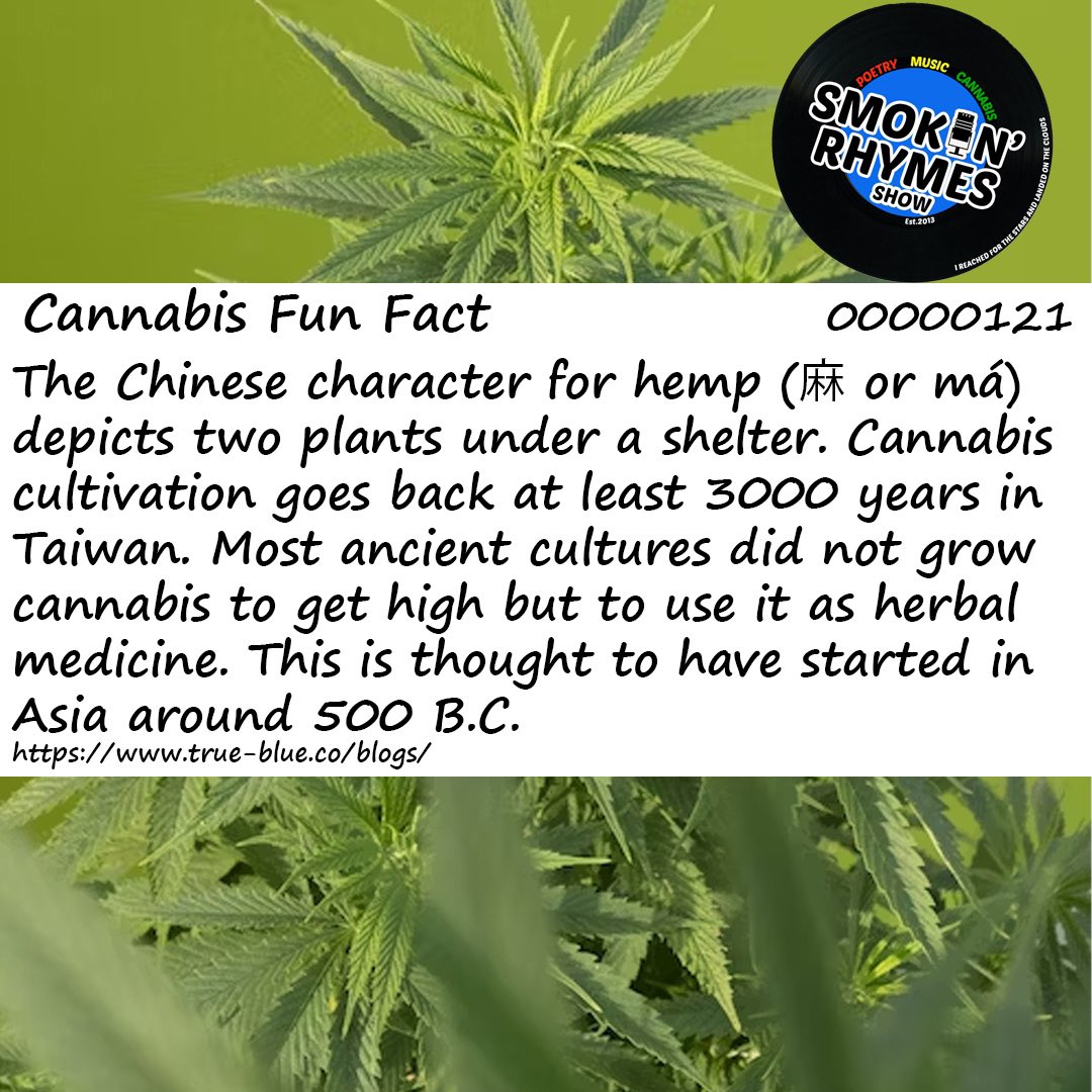 Early uses of cannabis in Asia.
#funfact #funfactfriday #cannabisfunfact #cannabisart #cannabiscommunity #cannabiseducation #cannabis #cannabismedicine #cannabisculture #cannabissociety #cannabislifestyle #cannabislover #cannabisindustry #cannabisphotography #global #aimhy