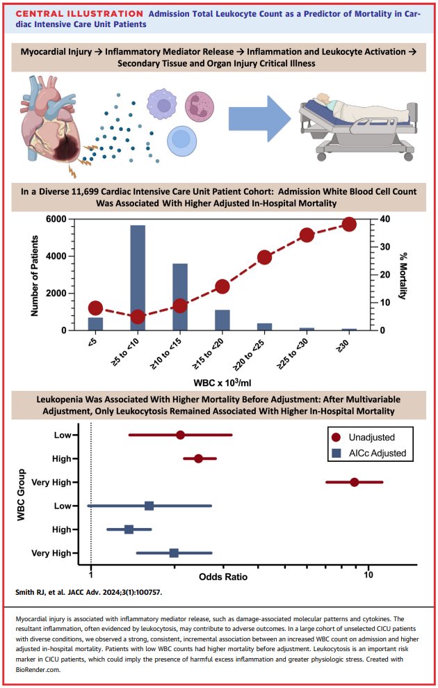 Ryan Smith tweet media