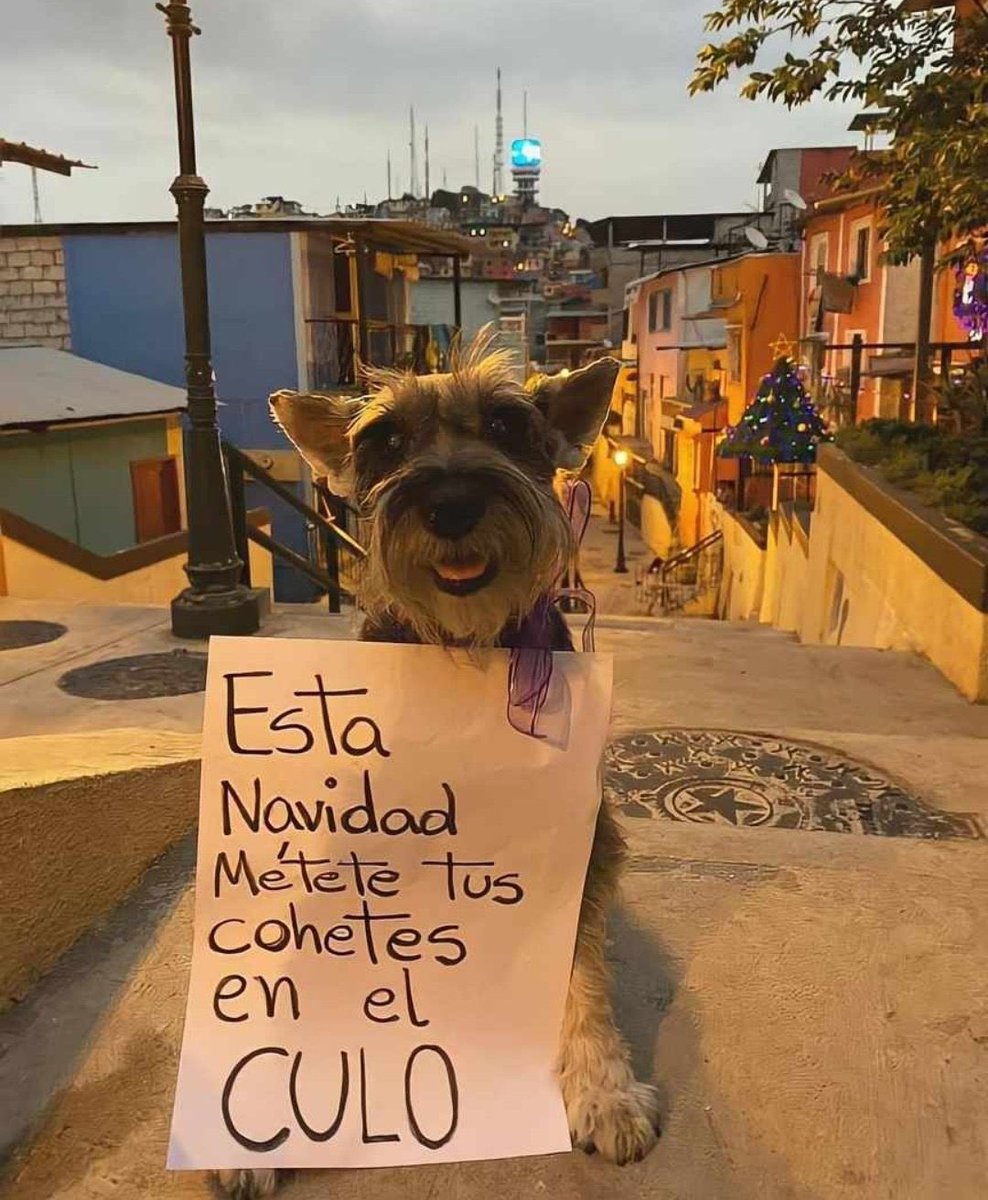 minitadelmate's tweet photo. https://t.co/sxoDeWBSbM