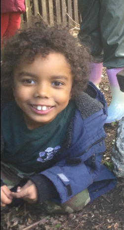 Hale Primary School tweet media