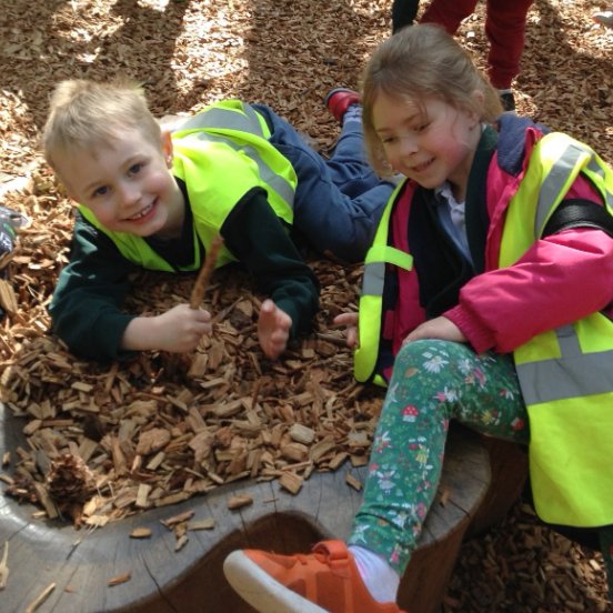 Hale Primary School tweet media