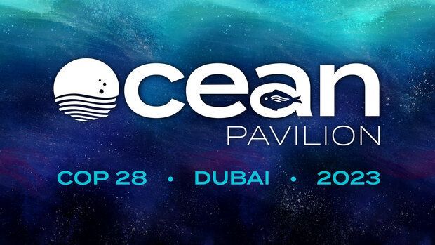 COP28 represents a grand-scale coming together of leaders, scientists, innovators, communicators, and policy makers on issues of a global scale. Thus, the ocean has been a significant theme and area of focus this year in Dubai. 🪸