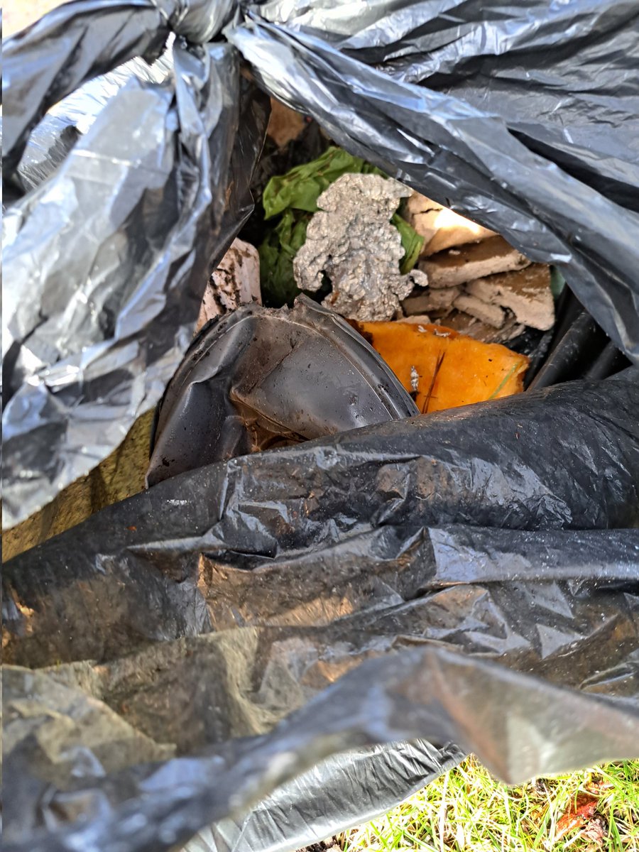 Not so much a "ho, ho, ho" as a "NO, NO,NO" 🤬

Children aren't going to be excited by what this Father Christmas has got in his sack after a short walk near Burley... pumpkin, coffee cups, cans, cigarette butts, picnic packaging, sweet wrappers &amp;, of course, filled poo bags 😔